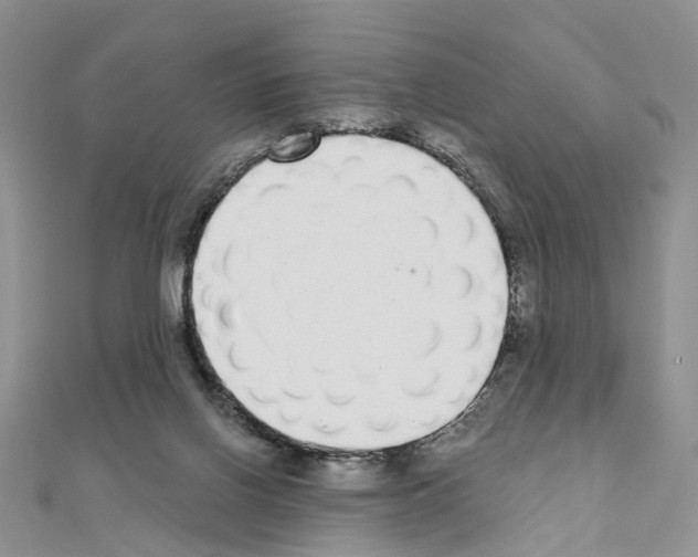 X0000110880070200907301443