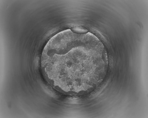 X0000110880071200907301443