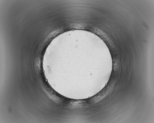 X0000110880072200907301443