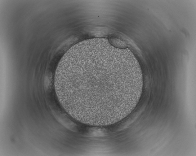 X0000110880073200907301443