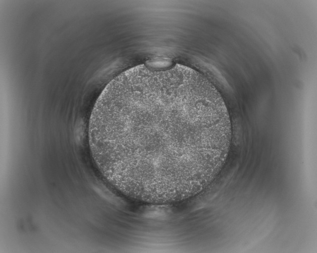 X0000110880077200907301443