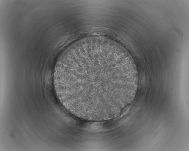 X0000110880078200907301443