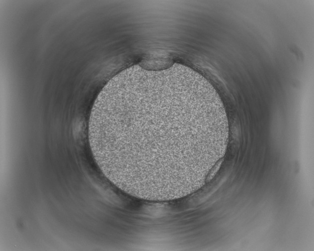 X0000110880079200907301443