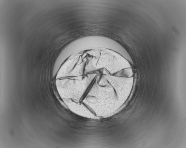 X0000110880080200907301443