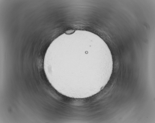 X0000110880081200907301443