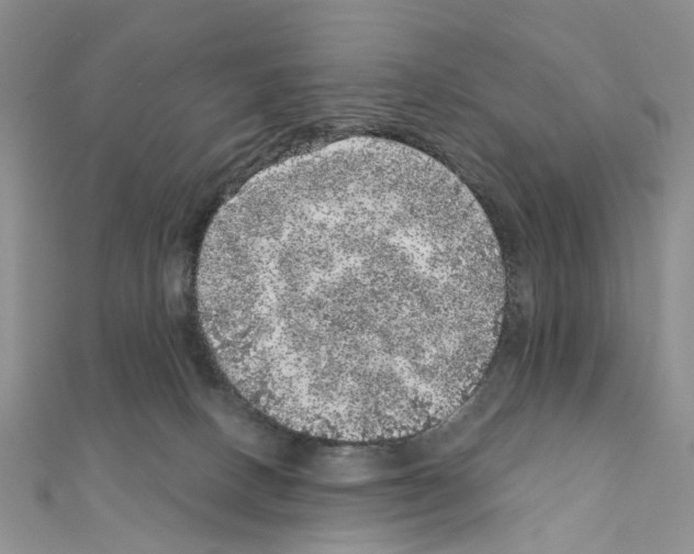 X0000110880082200907301443