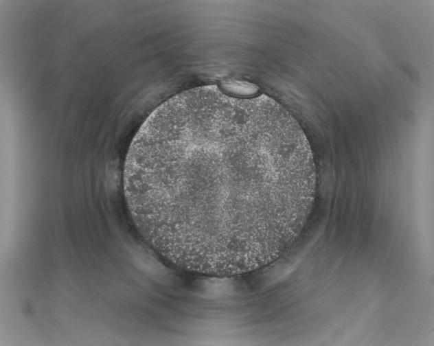 X0000110880085200907301443