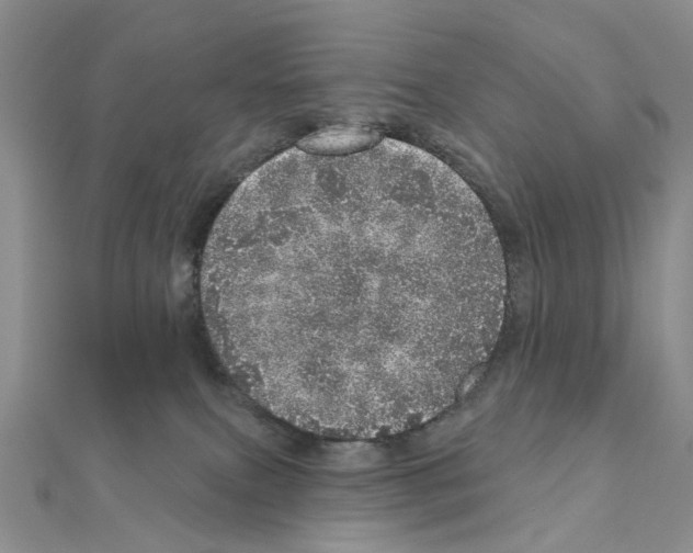 X0000110880087200907301443