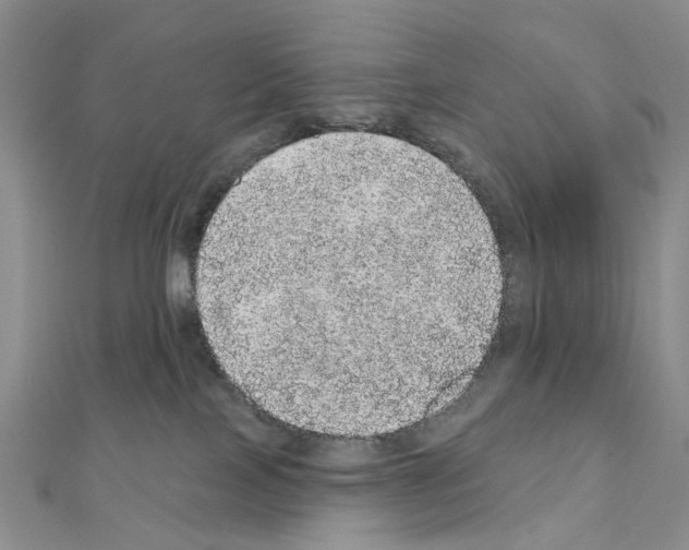 X0000110880089200907301443