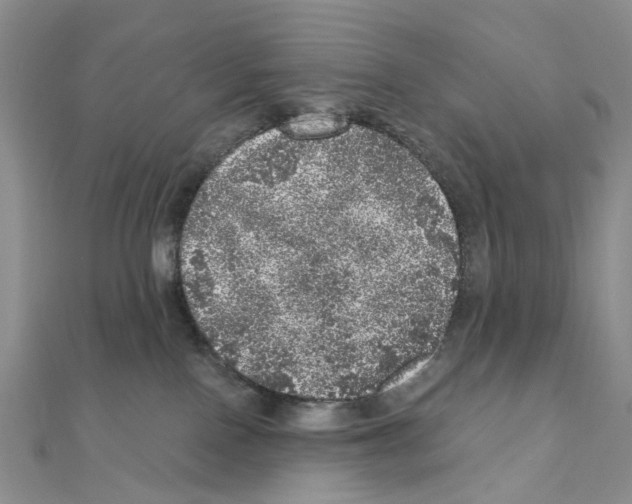 X0000110880090200907301443