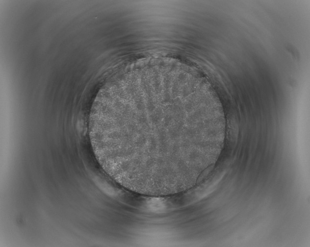 X0000110880091200907301443