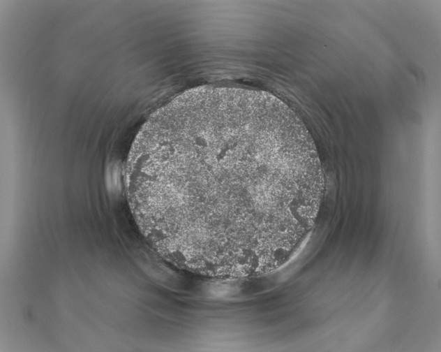 X0000110880094200907301443