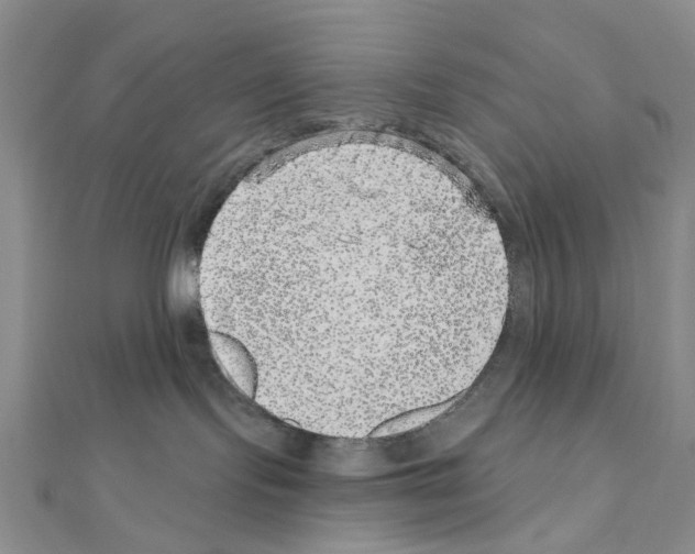 X0000110880095200907301443