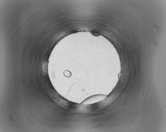 X0000110880096200907301443