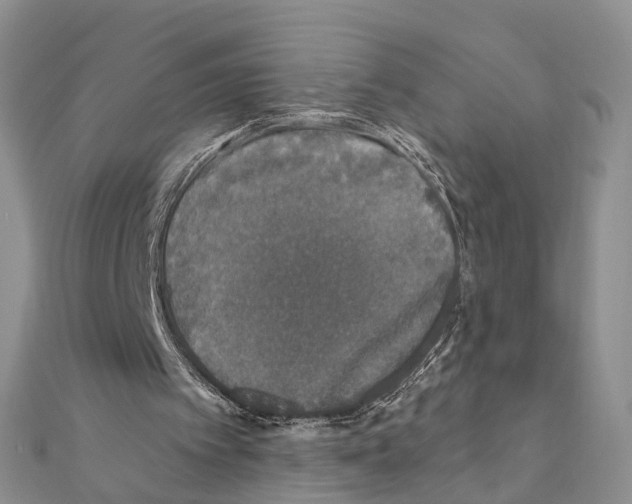 X0000110880097200907301443