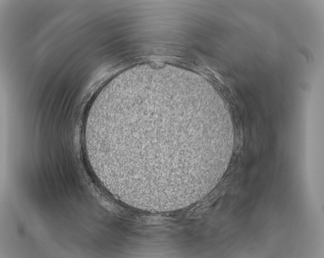 X0000110880098200907301443