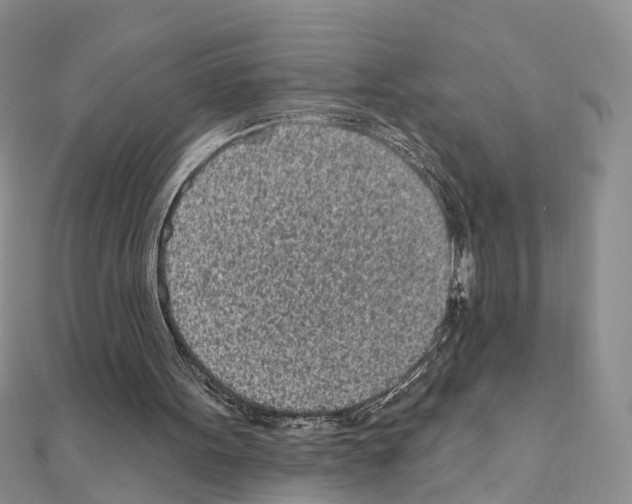 X0000110880099200907301443