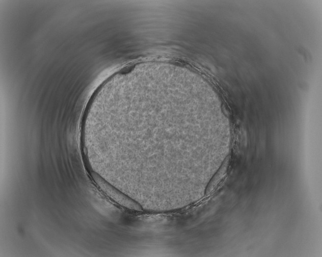 X0000110880100200907301443