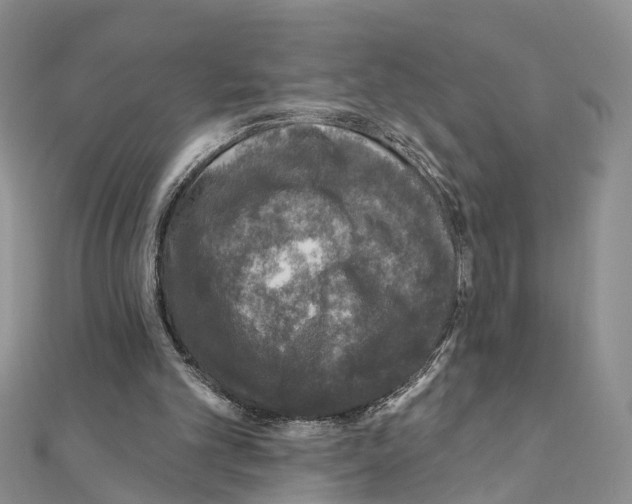 X0000110880101200907301443