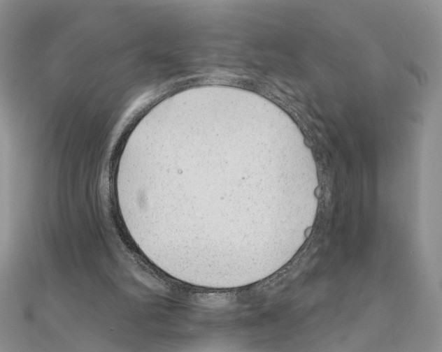 X0000110880102200907301443