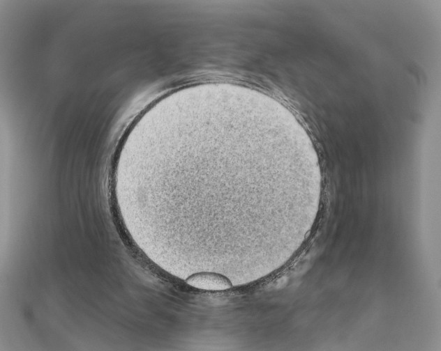 X0000110880103200907301443