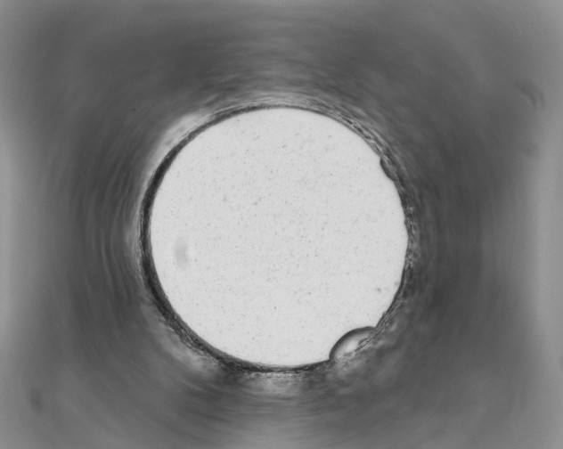 X0000110880104200907301443