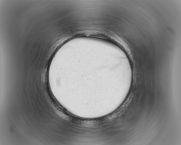 X0000110880105200907301443