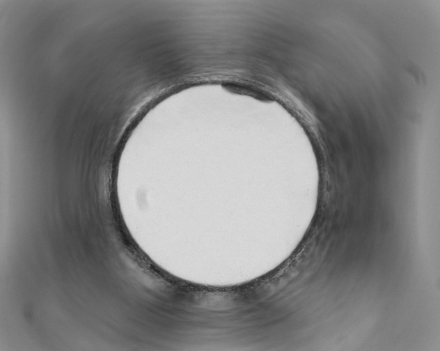 X0000110880107200907301442