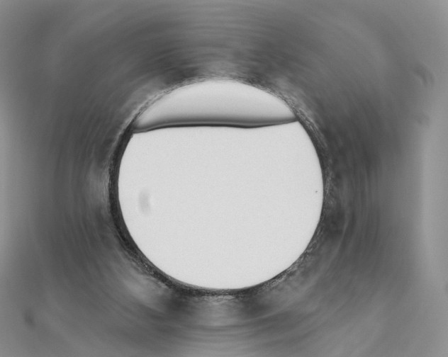 X0000110880108200907301442