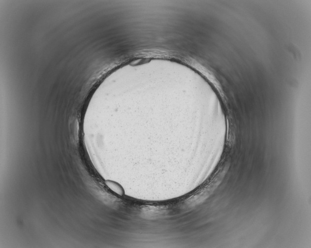 X0000110880109200907301442