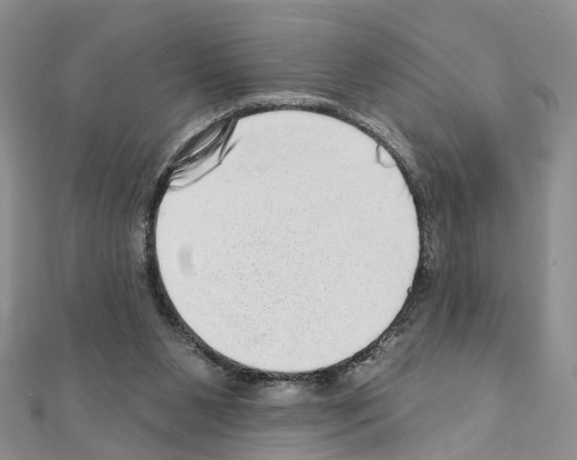 X0000110880111200907301442