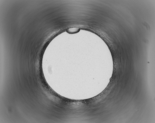 X0000110880112200907301442