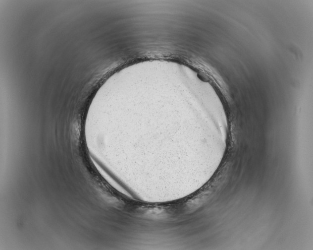 X0000110880113200907301442