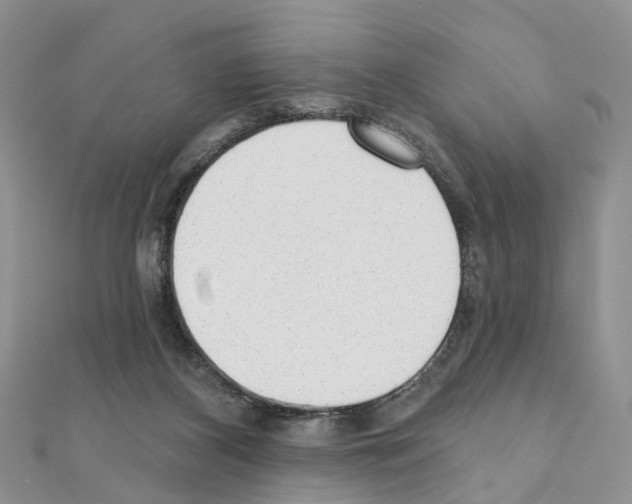 X0000110880116200907301442