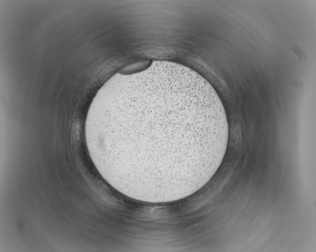 X0000110880117200907301442