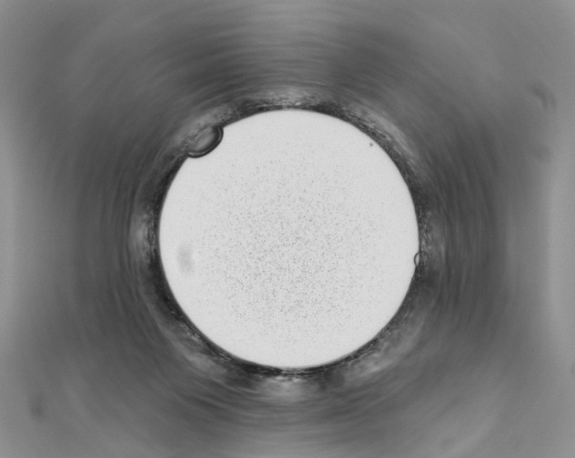 X0000110880119200907301442