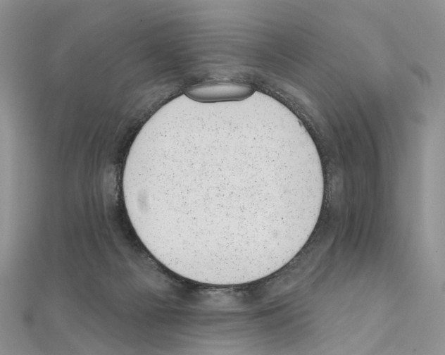 X0000110880121200907301442