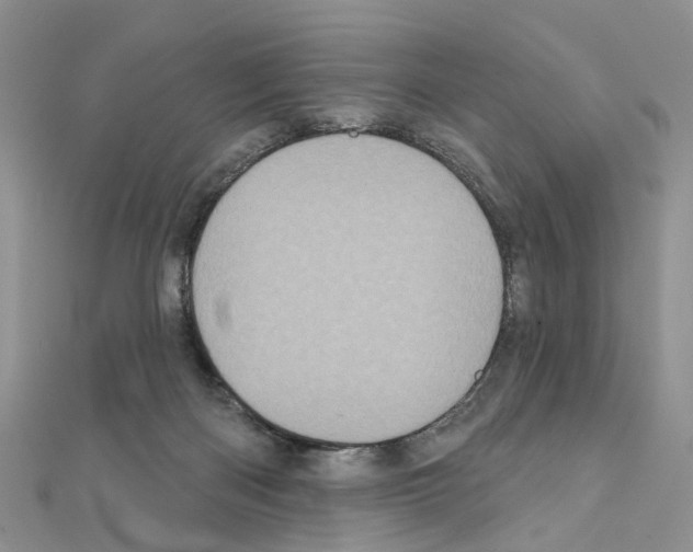 X0000110880122200907301442