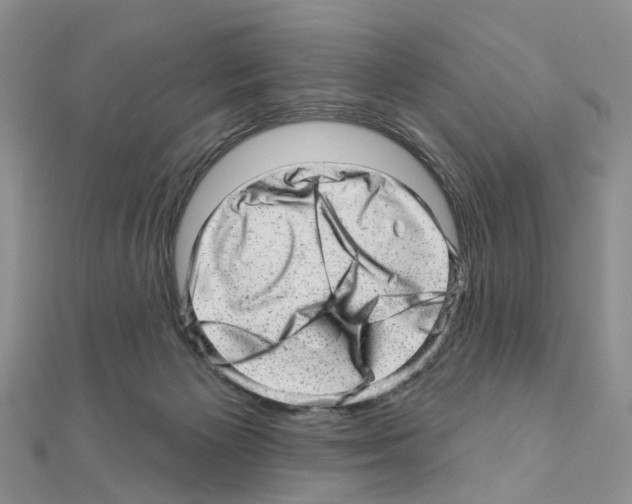 X0000110880125200907301442