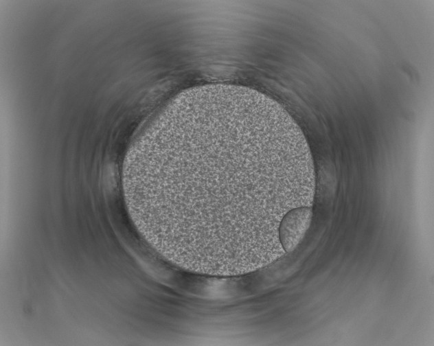 X0000110880130200907301442