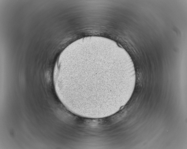 X0000110880131200907301442