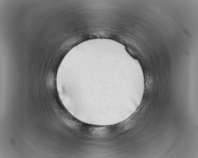 X0000110880132200907301442