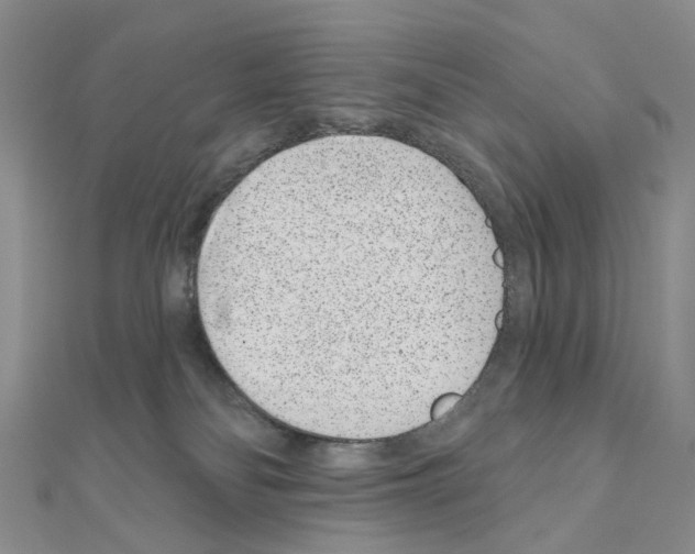 X0000110880134200907301442