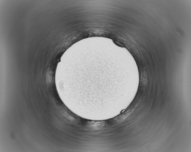 X0000110880135200907301442