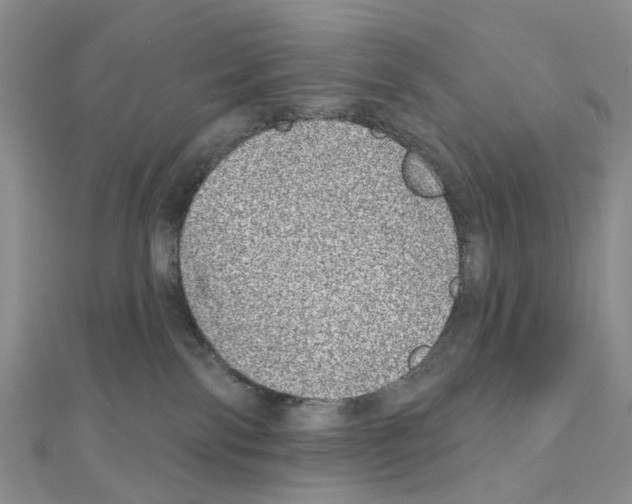 X0000110880138200907301442