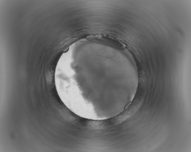 X0000110880139200907301442