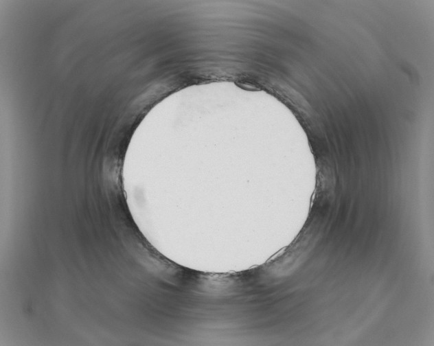 X0000110880141200907301442