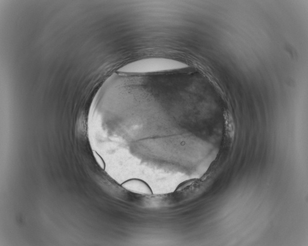 X0000110880143200907301442