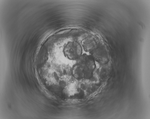 X0000110880145200907301441