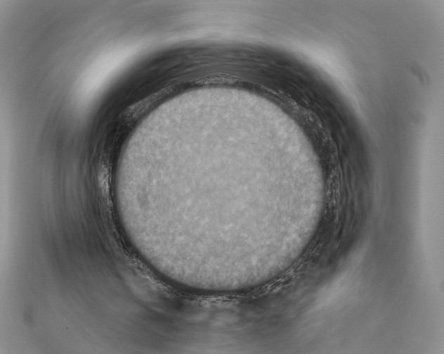 X0000110880146200907301441